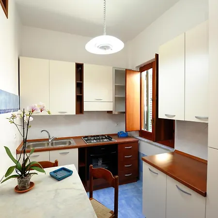 Apartman Blue Flowers B