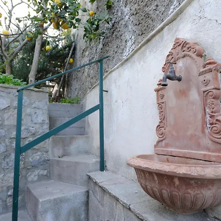 Blue Flowers B 公寓